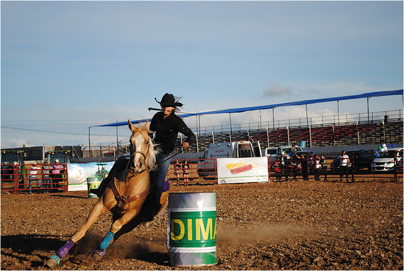 Speed amnitoba rodeo extremo