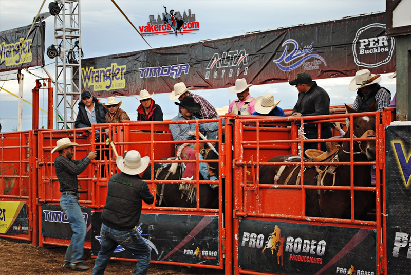 Rodeo Muestra Ganadera